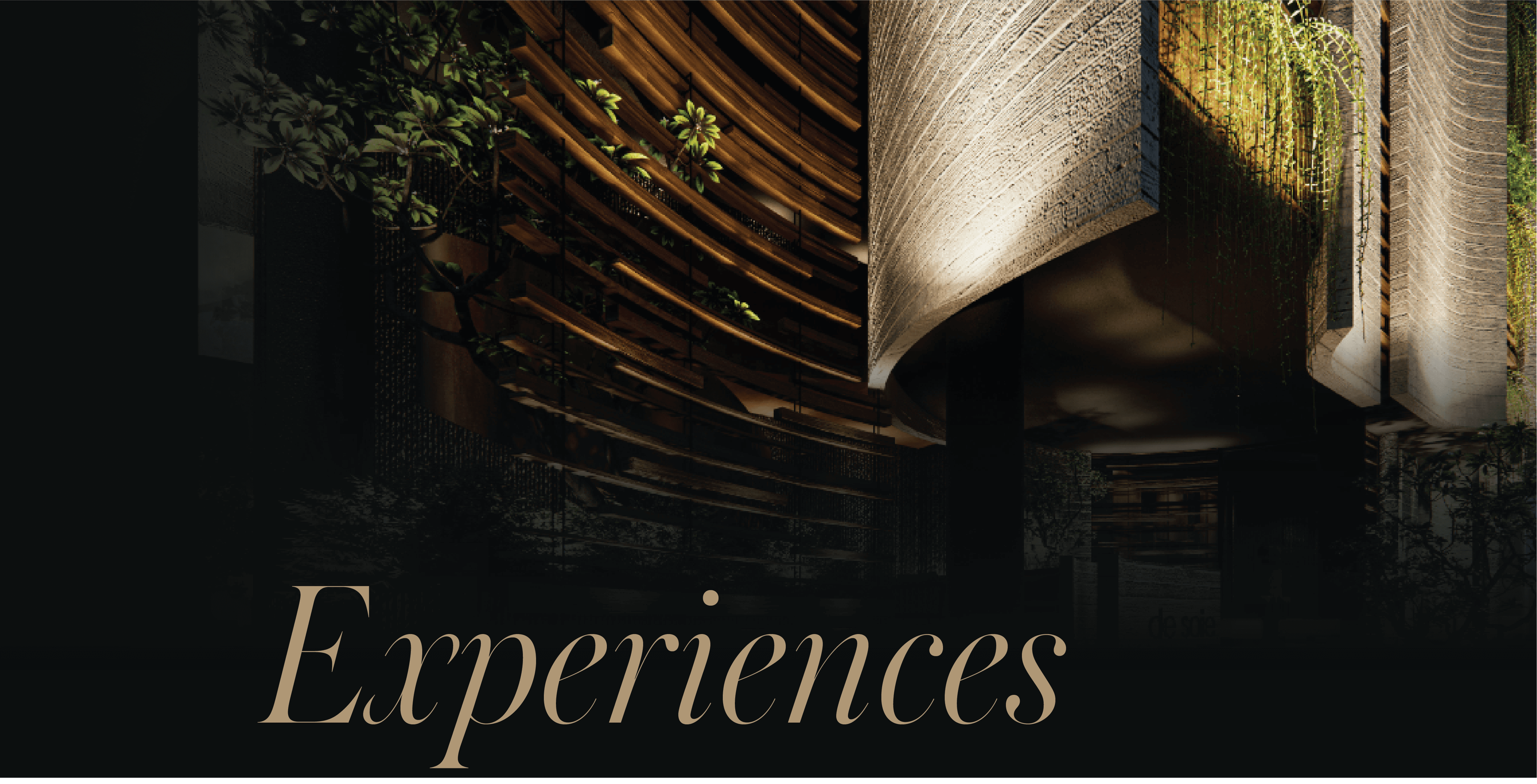 Experience Hero