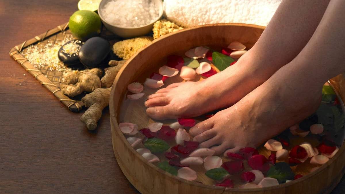 NGÂM CHÂN THẢO MỘC